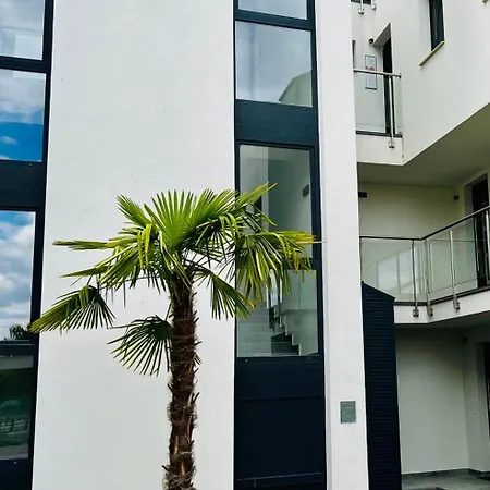 Balaton Bliss Lakefront Apartment